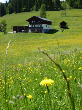 Arlberggut, Sankt Johann Im Pongau, Österreich